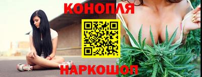 гидра Свободный