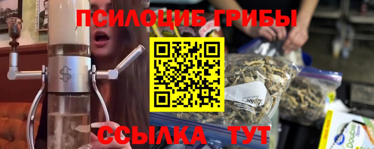 Мариинск  продажа наркотиков  Галлюциногенные грибы ЛСД  Вход с VPN  Галлюциногенные грибы Psilocybine cubensis 